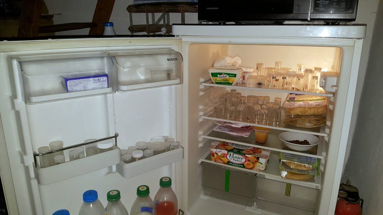 KitchenAid vs Bosch Refrigerator [Which One Fits Your Kitchen?]